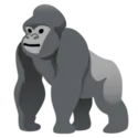 Gorilla-Terminal